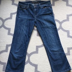 Joe's the Provocateur Petit Fit Ankel Jeans